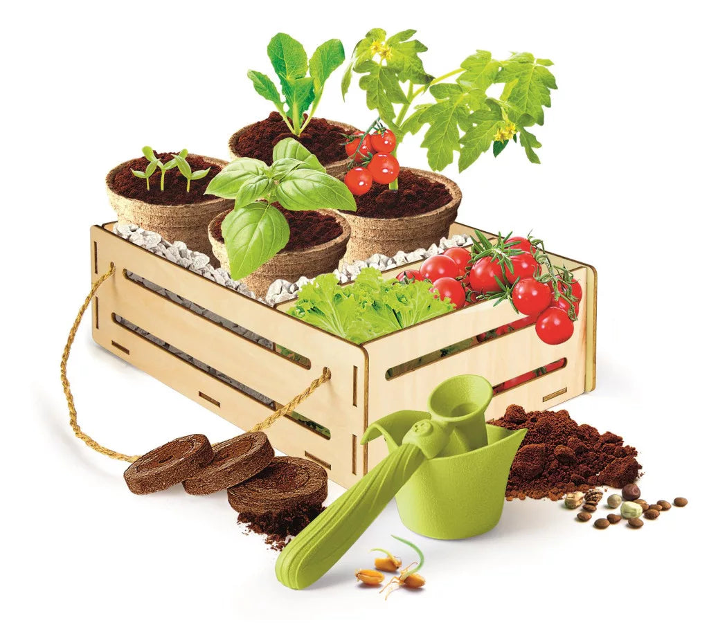 Детски образователни игри