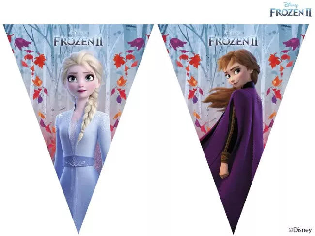 dekorativen girlqnd baner zamraznaloto kralstvo frozen