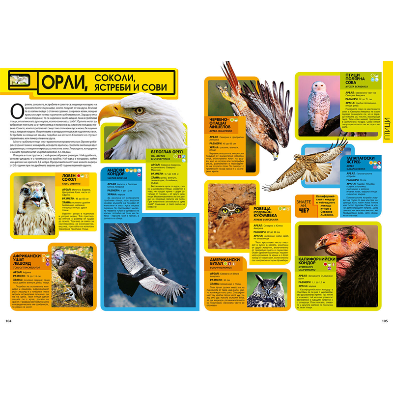 Detski knigi i enciklopedii