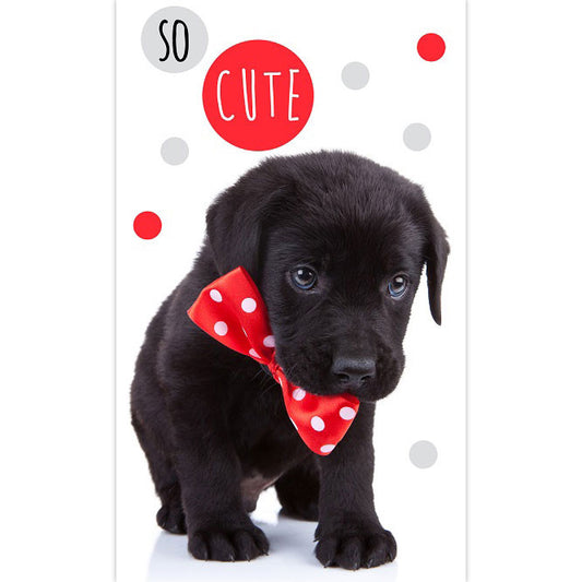 Куче So Cute hand and face хавлия, хавлия 30x50см