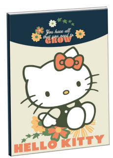 Здравей Кити Stay Слънцеny B/5 lined notebook 40 Чаршафи