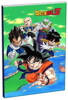 tetradka dragon ball