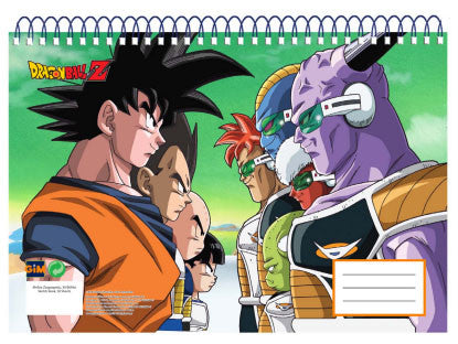 skicnik dragon ball