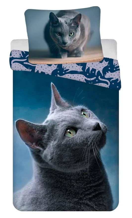 spalen komplekt sivo kote