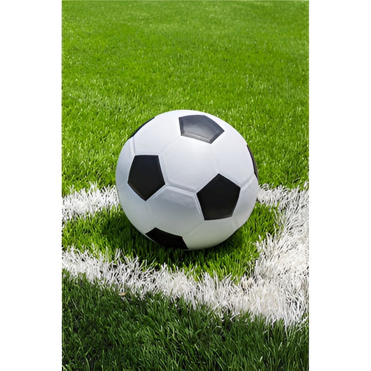 polareno odeqlo futbol