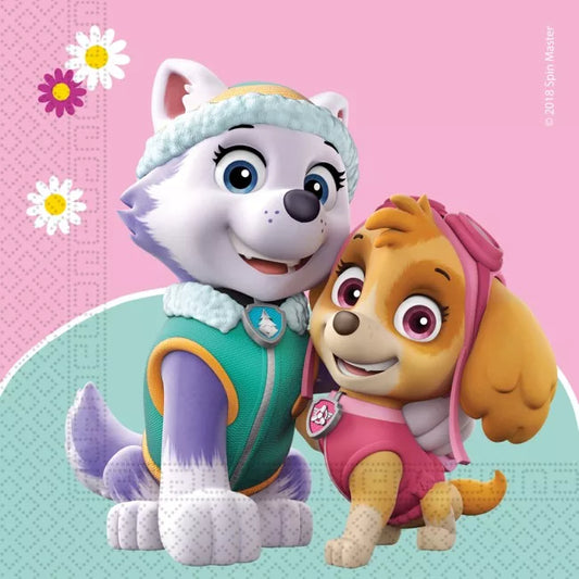 salfetki sky i everest pes patrul paw patrol