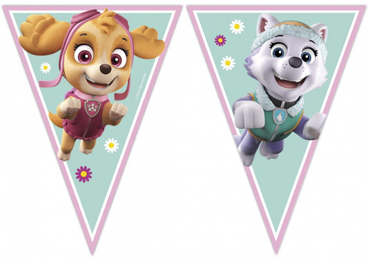 Пес патрул Skye and Everest banner