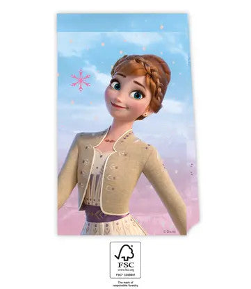 Дисни Замръзналото Кралство Wind  paper bag 4-части комплект FSC