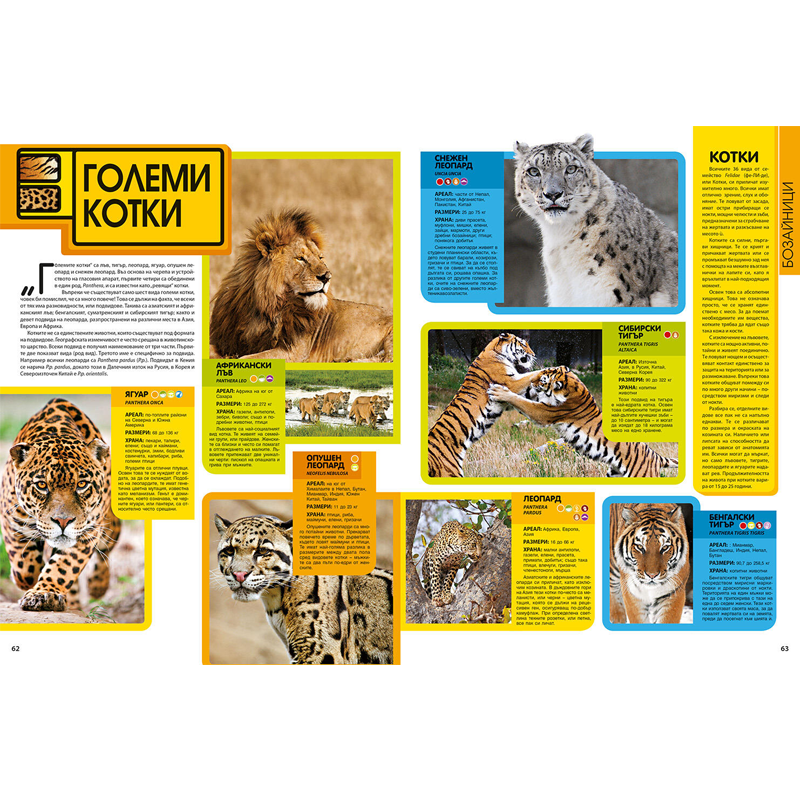 Uchenicheski posobiq aksesoari i obrazovatelni knigi