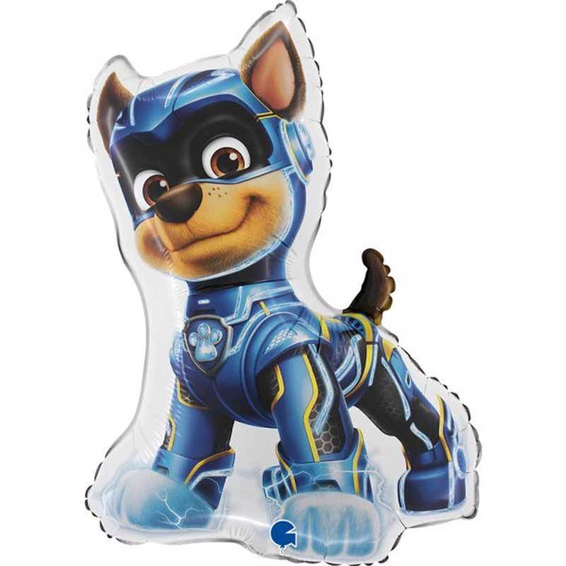 PAW PATROL CHASE