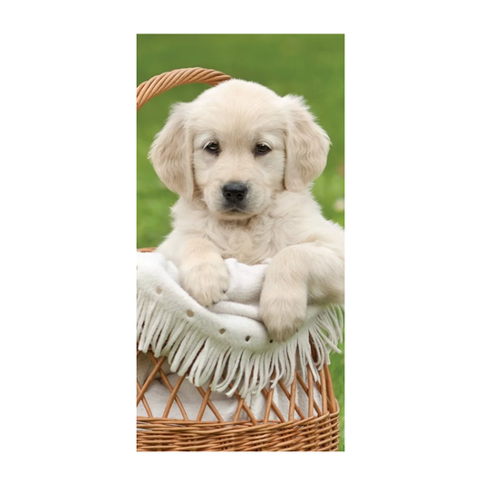 Плажна кърпа Куче - Детски хавлии и аксесоари за плаж