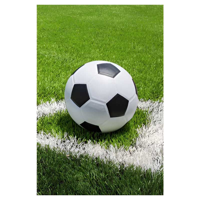 polareno odeqlo futbol